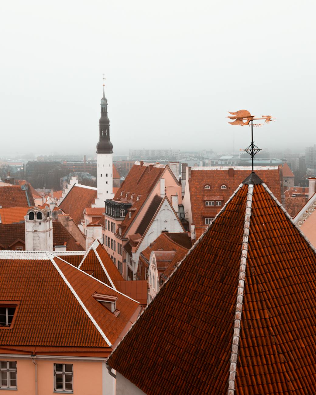 stunning rooftop view of tallinn s historic old town